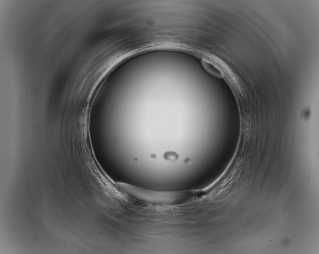 X0000101191244200806271308