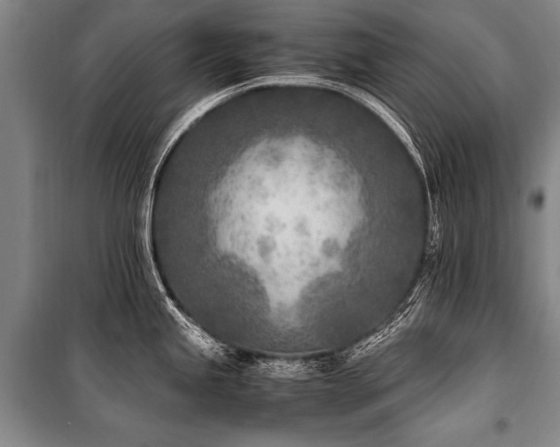 X0000101191245200806271308