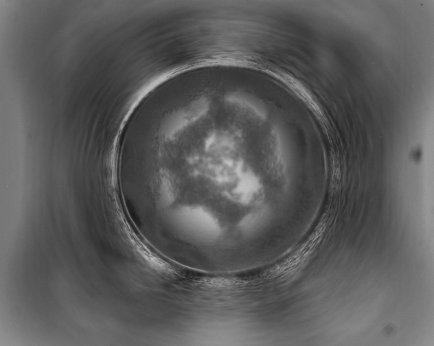 X0000101191246200806271308