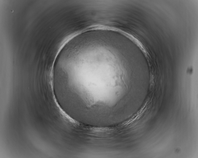X0000101191247200806271308