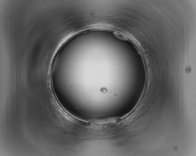 X0000101191248200806271308