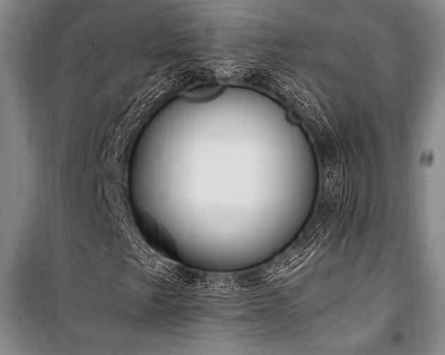 X0000101191249200806271307
