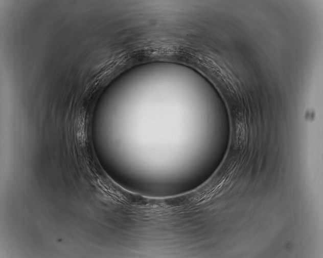X0000101191250200806271307
