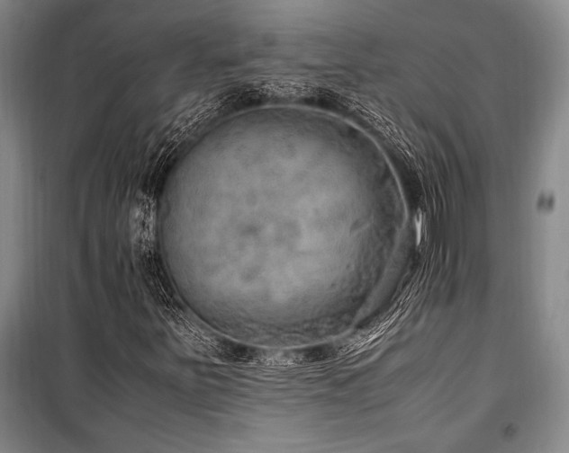 X0000101191251200806271307