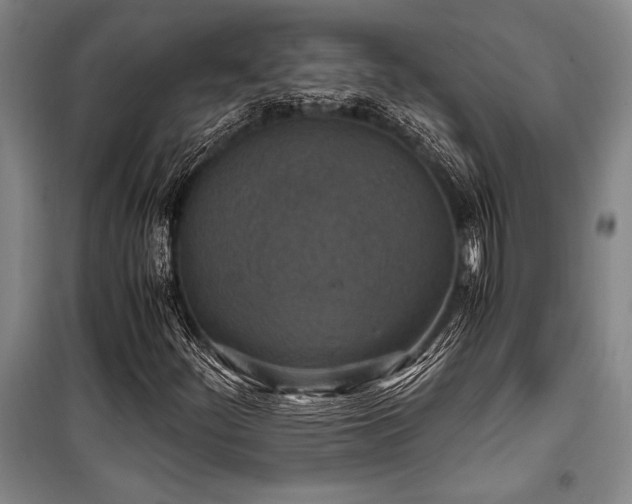 X0000101191252200806271307