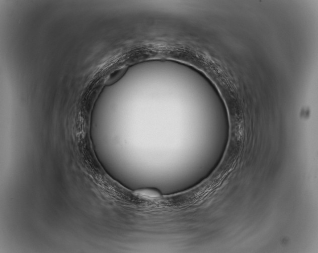 X0000101191253200806271307