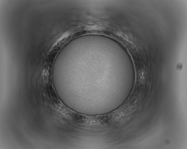 X0000101191254200806271307