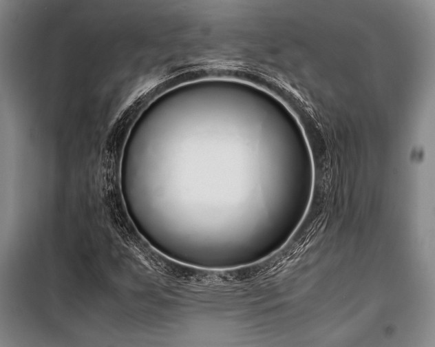 X0000101191255200806271307