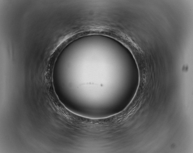X0000101191256200806271307
