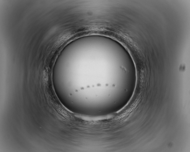 X0000101191257200806271307
