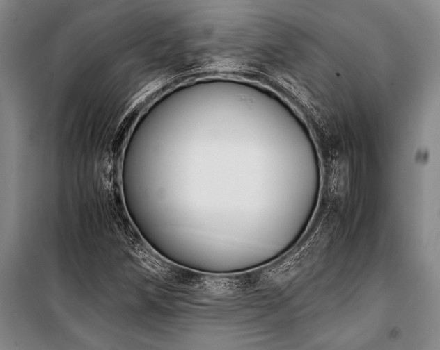 X0000101191258200806271307