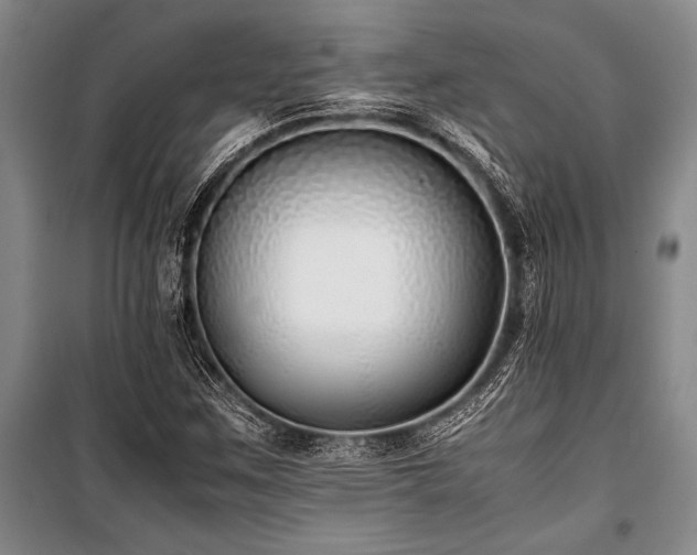 X0000101191259200806271307
