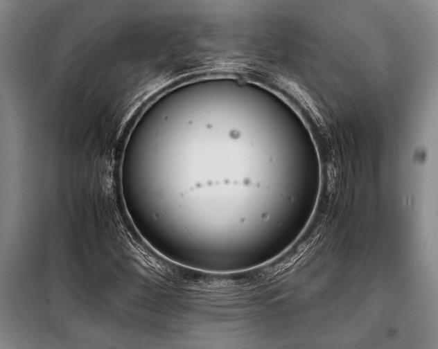 X0000101191260200806271307