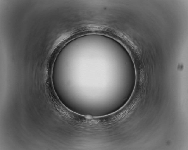 X0000101191261200806271307