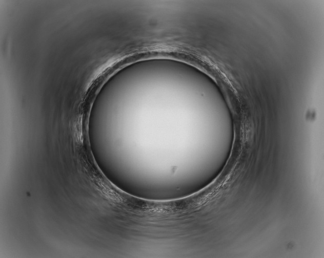 X0000101191262200806271307