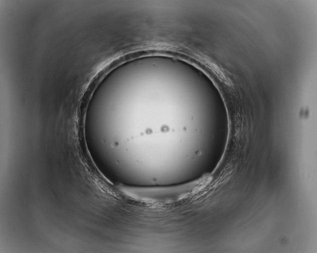 X0000101191264200806271307