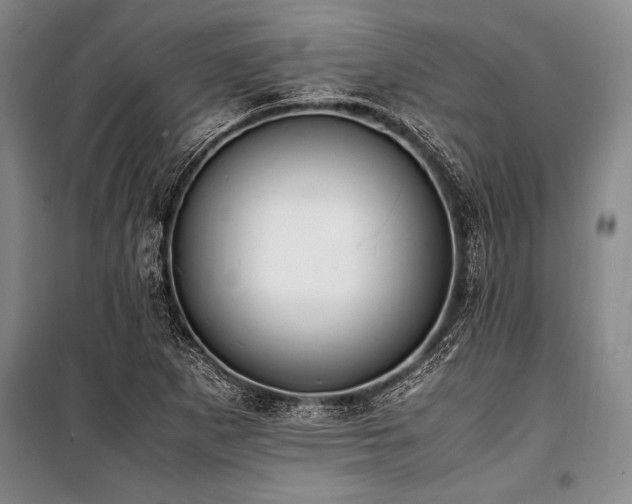 X0000101191265200806271307