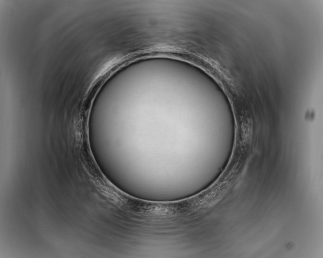 X0000101191266200806271307