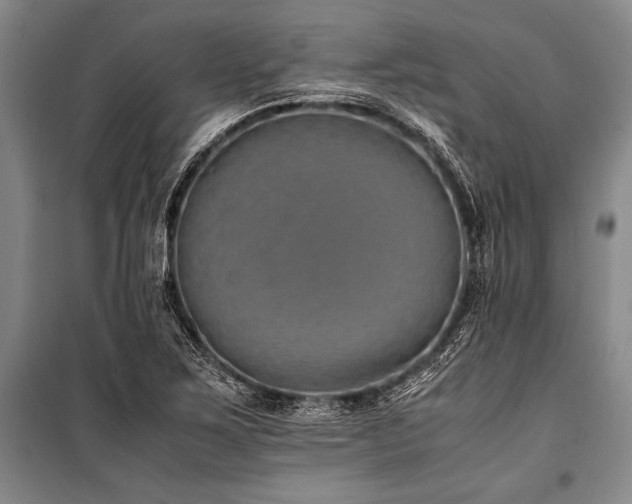 X0000101191267200806271307