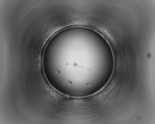 X0000101191268200806271307