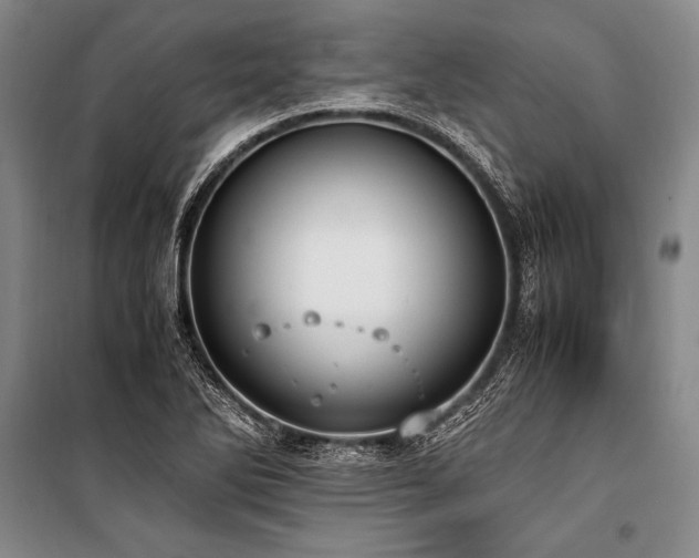 X0000101191270200806271307