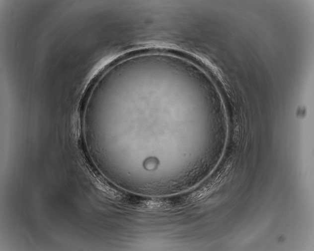 X0000101191271200806271307
