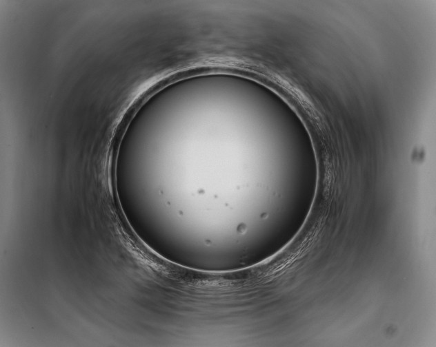 X0000101191272200806271307