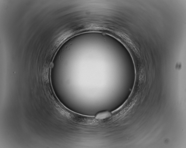 X0000101191273200806271307
