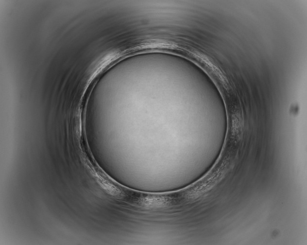 X0000101191274200806271307