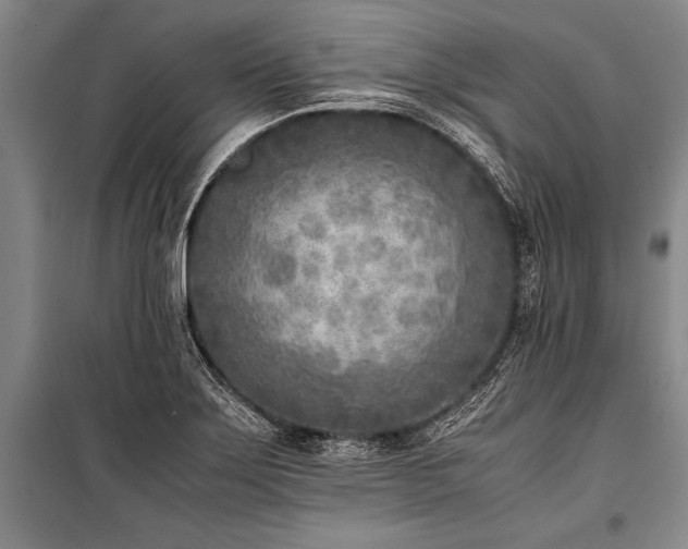 X0000101191275200806271307
