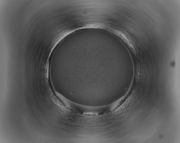 X0000101191276200806271307