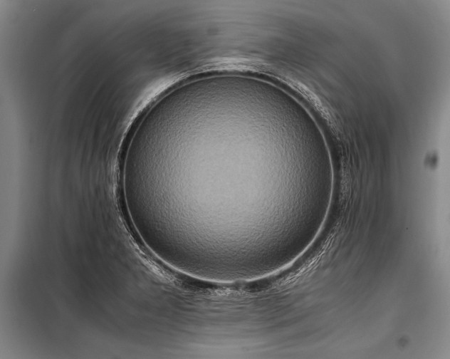 X0000101191277200806271307