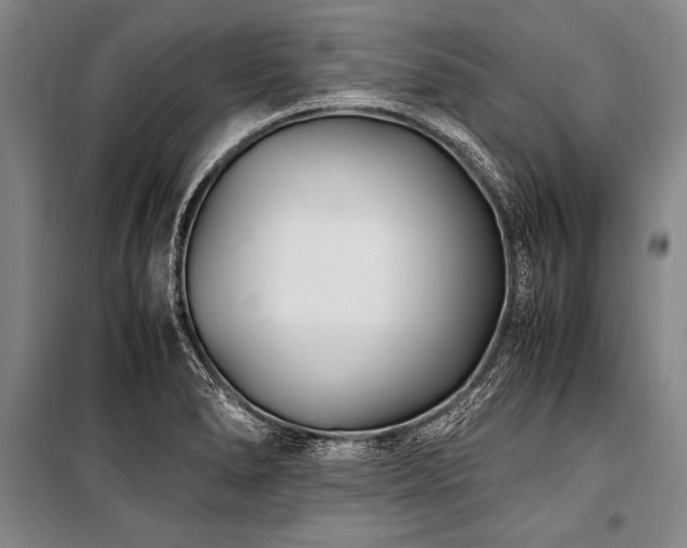 X0000101191278200806271307
