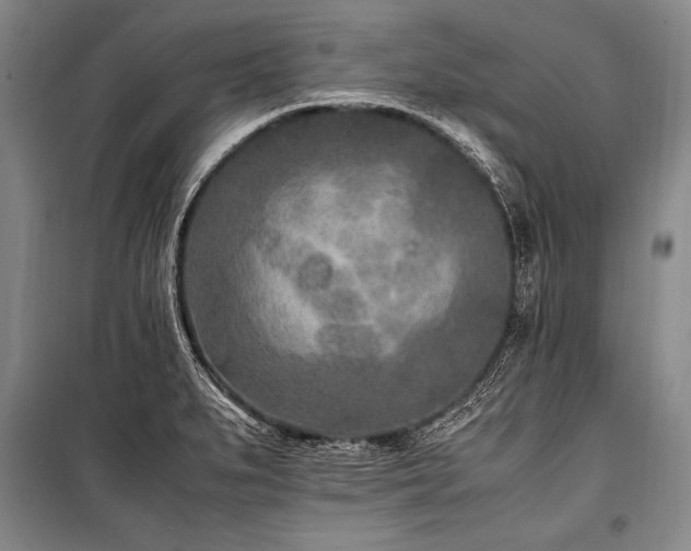 X0000101191279200806271307