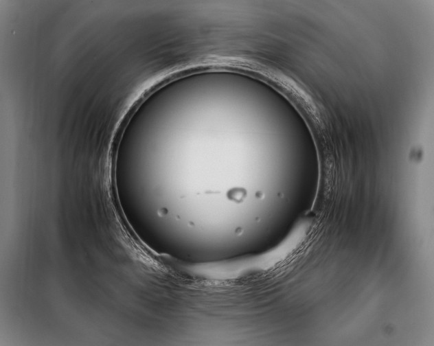 X0000101191280200806271307