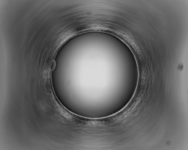 X0000101191281200806271307