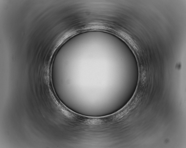 X0000101191282200806271307