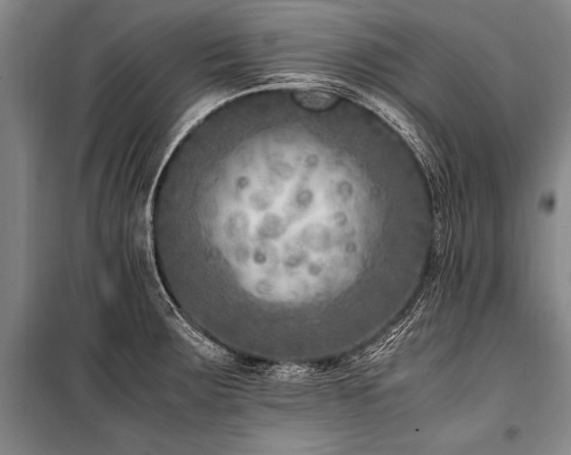 X0000101191283200806271307