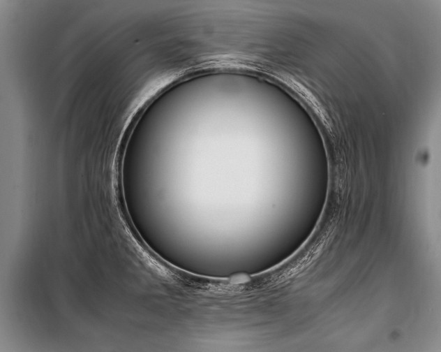 X0000101191285200806271307