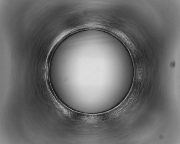 X0000101191286200806271307