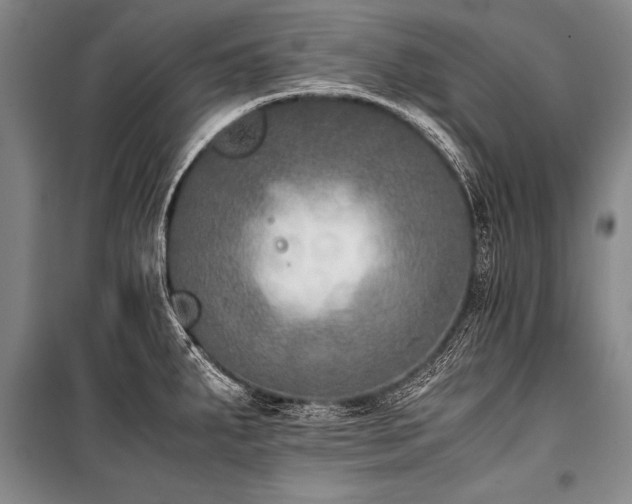 X0000101191287200806271307