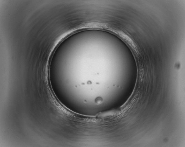 X0000101191288200806271307