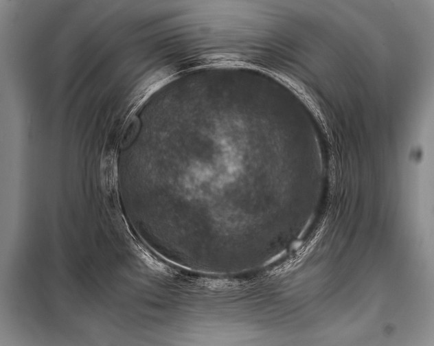 X0000101191289200806271307