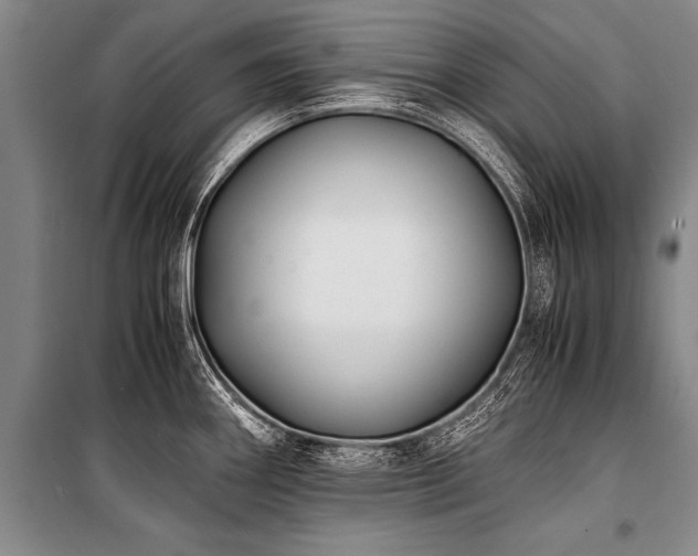X0000101191290200806271307