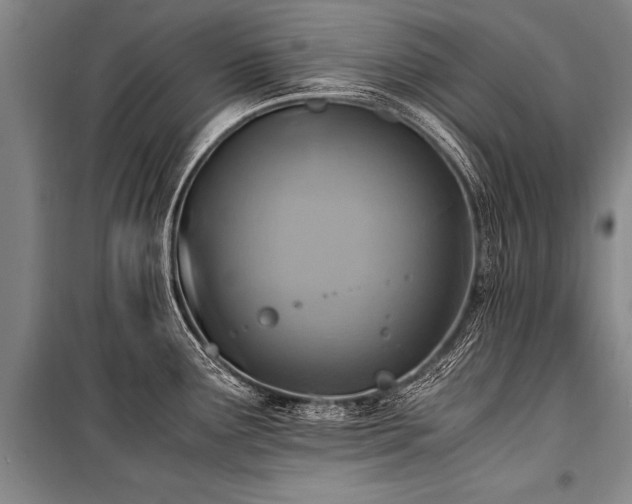 X0000101191291200806271307