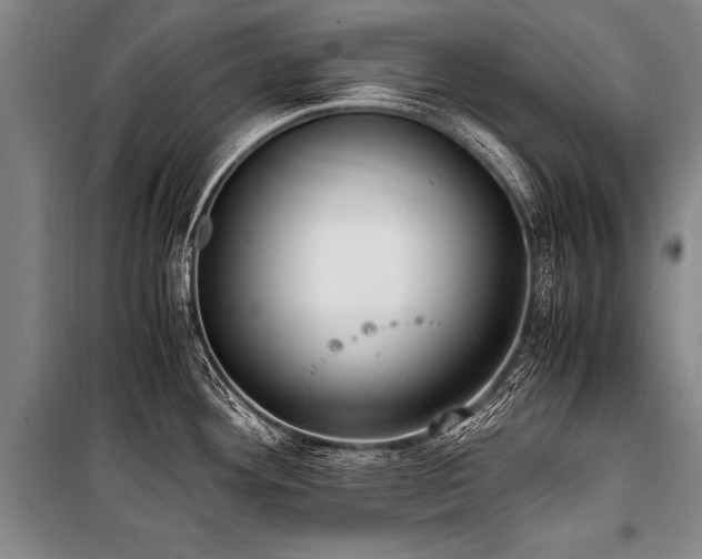 X0000101191292200806271307
