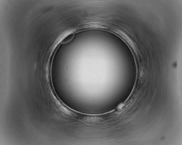 X0000101191293200806271307