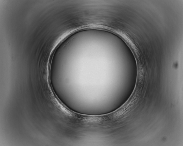X0000101191294200806271307