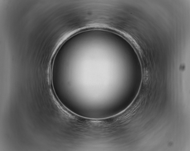 X0000101191295200806271307