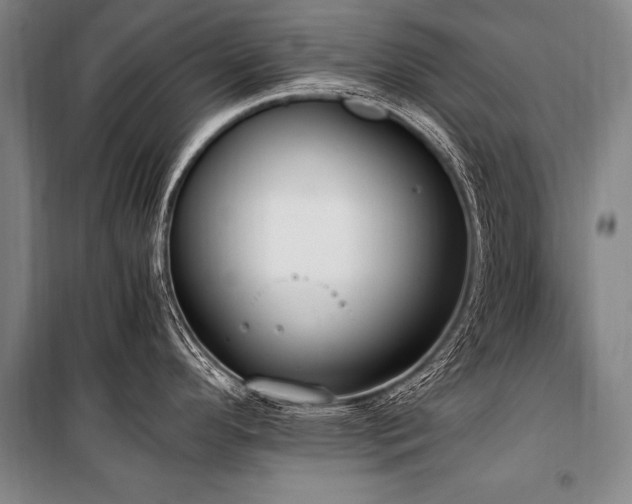X0000101191296200806271307